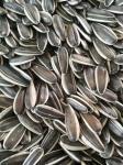 Sunflower Seed Turkey Market Price Ukraine Chinese Raw 601 Sunflower Seed