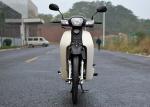 High Speed Super Cub 50CC -110CC 710mm Seat Height 95KG Net Weight