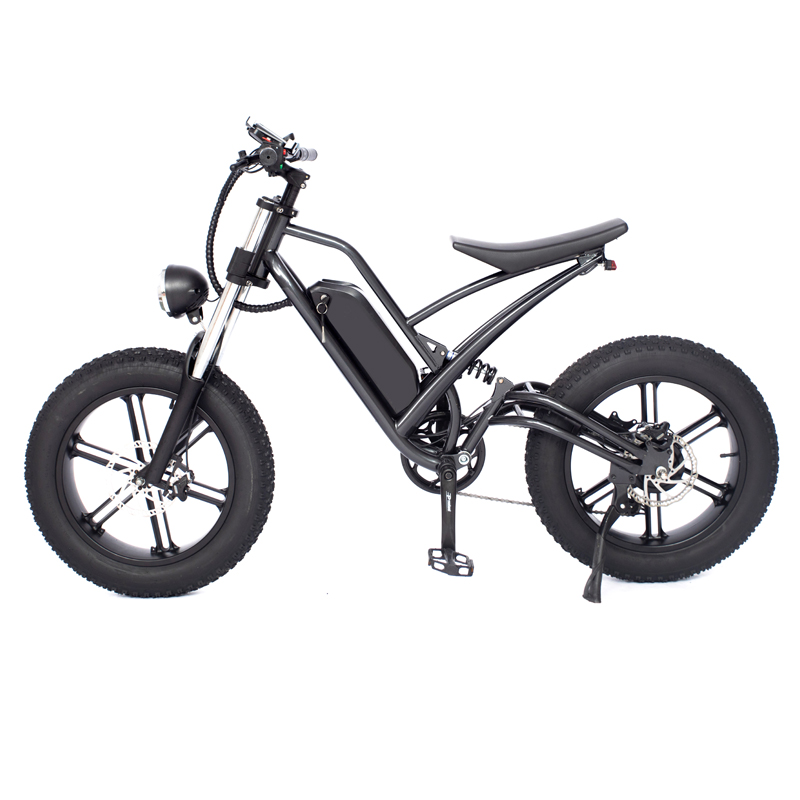 DOMANCA 750W High Speed Dirt Bike Off-road Fat Tire Ebike Customized E Bike Motorcycle
