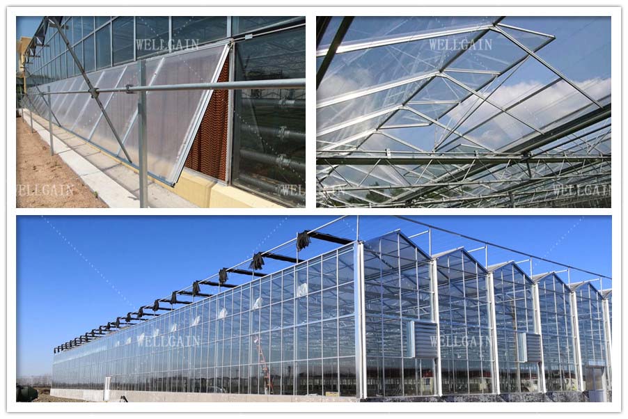Large Agricultural Multi Span Glass Greenhouse Square Commercial Hydroponic Greenhouse