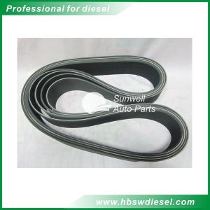 Quality KTA38 engine Belt, V Ribbed 3003341 wholesale