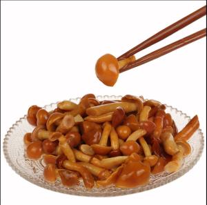 Quality China 2022 New Crop 400g Canned Whole Mushroom Home Canned Foods wholesale