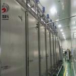 Seaweeds Continuous Vacuum Conveyor Belt Dryer 450 -1200kg/H