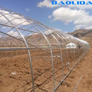 Quality Customized Tunnel 3 Layer Plastic PE Film Greenhouse Insect Proof wholesale