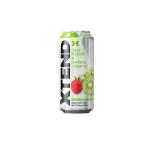 OEM Aluminum Can Bottling for Fruit Flavor Empty Aluminium Cans 500ml