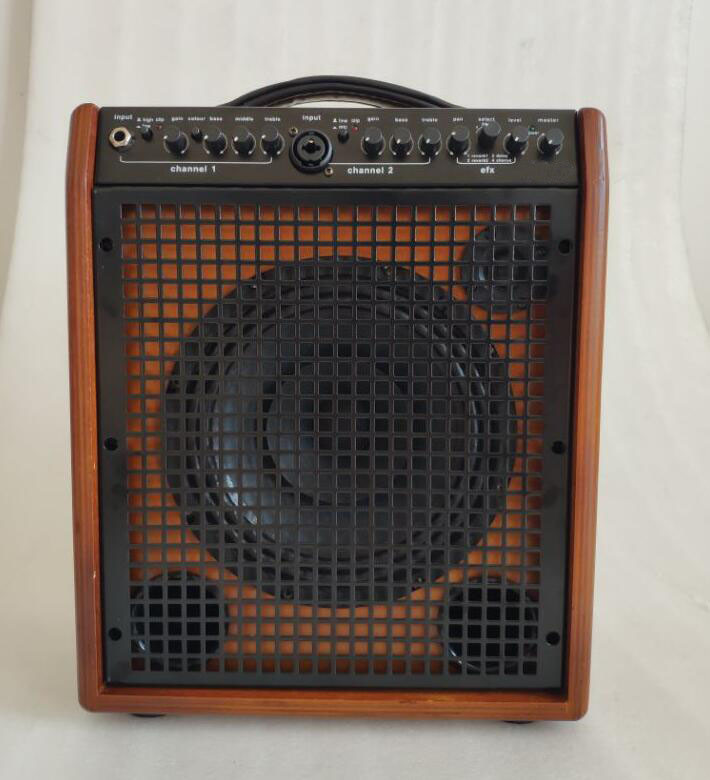 8" Dual Twin Channels AERs Style Acoustic Guitar Amplifier 60W