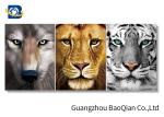 Panda / Tiger Animal Lenticular 3d Stereograph Printing / Pictures For Living