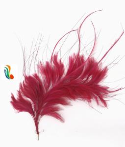 Quality 15x30CM Burnt Coque And Hackle Feather Mounts Flower Feather Headwear wholesale