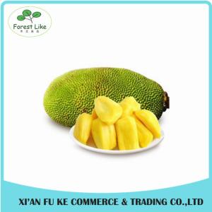 Quality High Quality Natural Jackfruit Extract Powder wholesale