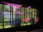 P3.9/7.8mm Indoor & Outdoor Transparent LED Display See-Through LED Video Screen