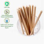 Tableware Kraft Paper Bio Compostable Cocktail Straws
