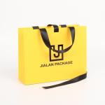 Jewelry Gift Paper Shopping Bag with Custom Logo and Hand Length Handle Luxury