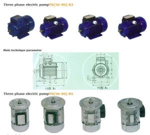 Quality Three phase electric pumpYS(56-90) B3 wholesale