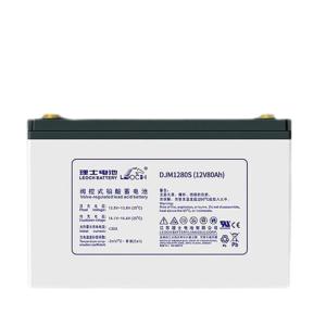 Quality Leoch Battery DJM1280S 12V80Ah for UPS Communication Solar Energy Storage Power System wholesale