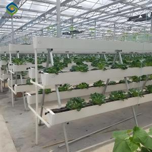 Quality Substrate Cultivation Outdoor Hydroponics Greenhouse Weather Resistance wholesale