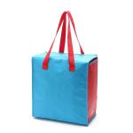 Picnic Printed Waterproof Lunch Insulated Cooler Bags