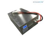 48V Lithium Ion Deep Cycle Golf Cart Battery For Passengers Persons Golf Cart