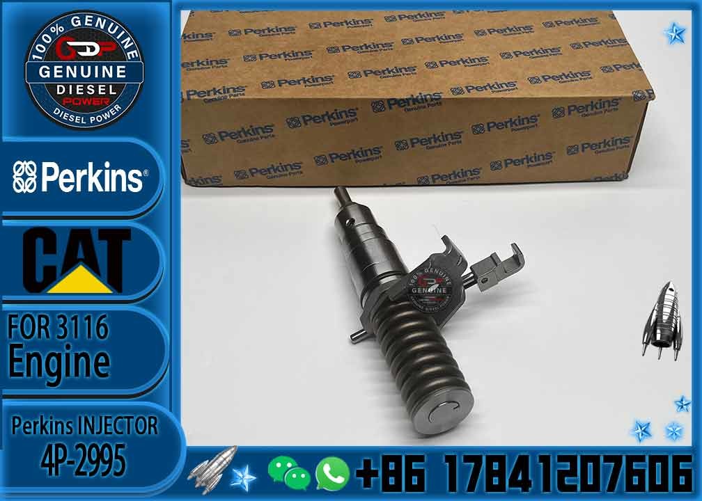 Excavator Parts CAT 3114 3116 3216 Engine fuel injector fuel injector 4P-2995 6I-3669 0R-8471 0R-8475 0R-8473
