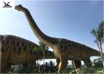 Amusement Park Equipment Real Life Size Dinosaurs , Dinosaur Lawn Ornament