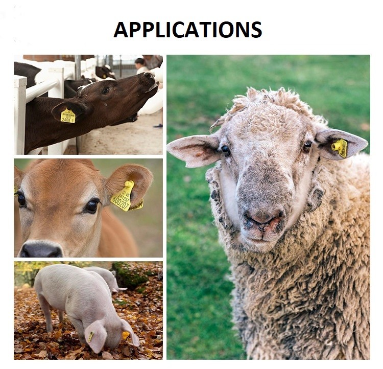 Numbering Livestock Ear Tags TPU Rfid Sheep Tags Yellow