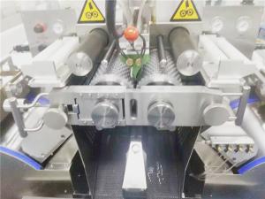 Quality Large Capacity Automatic Vgel Encapsulation Machine With Aluminum Cover wholesale