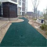 Height Green HDPE Plastic Planting Grass Paver Grid with CE/ISO9001/ISO14001