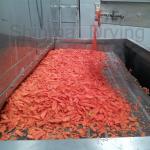 220v 380v Conveyor Belt Dryer Apron Dryer 150kg/H To 375kg/H