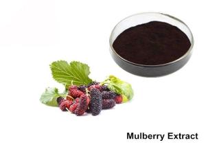 Quality Natural Mulberry Extract Powder wholesale