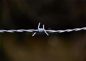 Quality Double Twist Security Barbed Wire Two Line Wires Together Barbs Attached wholesale