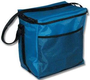 Quality High quality Waterproof polyester insulated cooler bags wholesale