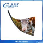 Wholesale Price P2/P2.5Led Soft Module indoor screen,Indoor soft screen IP40