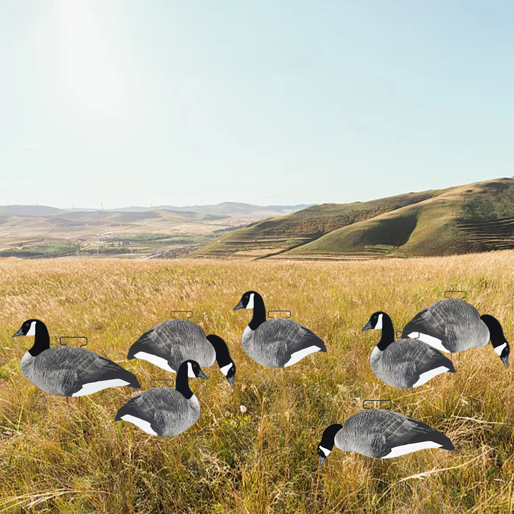 Lightweight 3D Lifelike Hunting Decoy Silhouett Canada Goose with Flocked Head and Tail