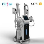 time saving 4 handles work together best factory cryolipolysis machine