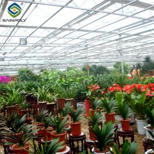 Quality Sainpoly Commercial Agricultural Flower Green Houses For Planting wholesale