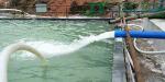 300mm Sludge Press Machine , 4.0m3/h Dewatering Screw Press Machine