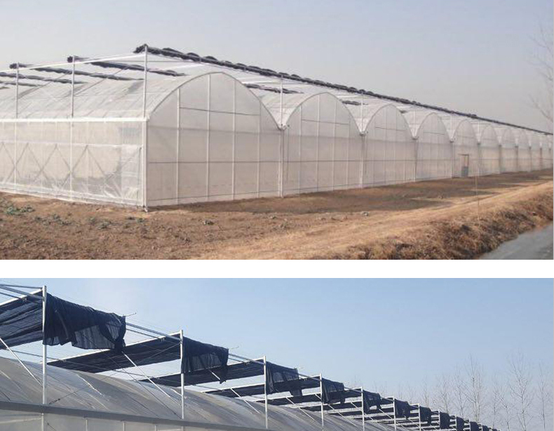 PO Film Double Layer Hydroponic Container for Superior Plant Growth Results