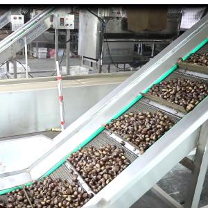 China 380V Intelligent Rotational Scanning Silver Chestnuts Sorting Machine 6 - 20 Lanes on sale