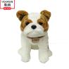 Buy cheap Warmness Cute Shar Pei Stuffed Animal Plush Toys PP Cotton Soft Cuddly Toy from wholesalers