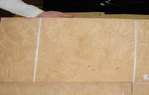 Quality Construction Walnut Burl Wood Veneer Yellow With 0.50mm Thickness wholesale