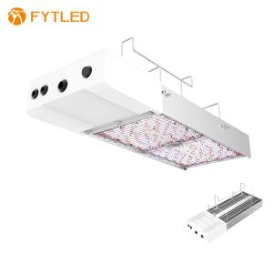 Quality T828 800W 0-10V Dimmable LED Grow Light 5 Years Warranty For Agrotech wholesale