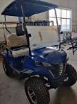 Blue 2 Seater Electric Off-Road Golf Cart High Power 12'' Tires With Disc Brake