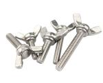 ANSI/ASME Standard M6 M8 M10 Stainless Steel Wing Bolt And Nuts Resistant to