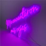 Purple Flexible LED Neon Sign Wall Mounted Illuminated 51200 Hours