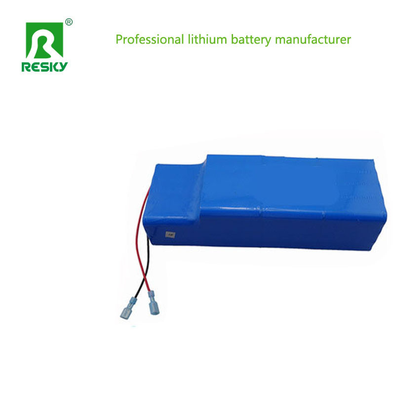 48V 20ah 1000W Lithium Battery Pack For Electric Vehicle