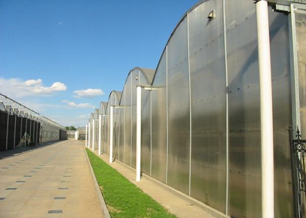 Flower Large Polycarbonate Greenhouse Strong Thermal Insulation Sides Ventilatio