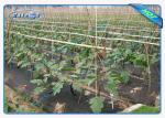 100% Virgin Polypropylene Plantex Weed Control Fabric 25gsm Black