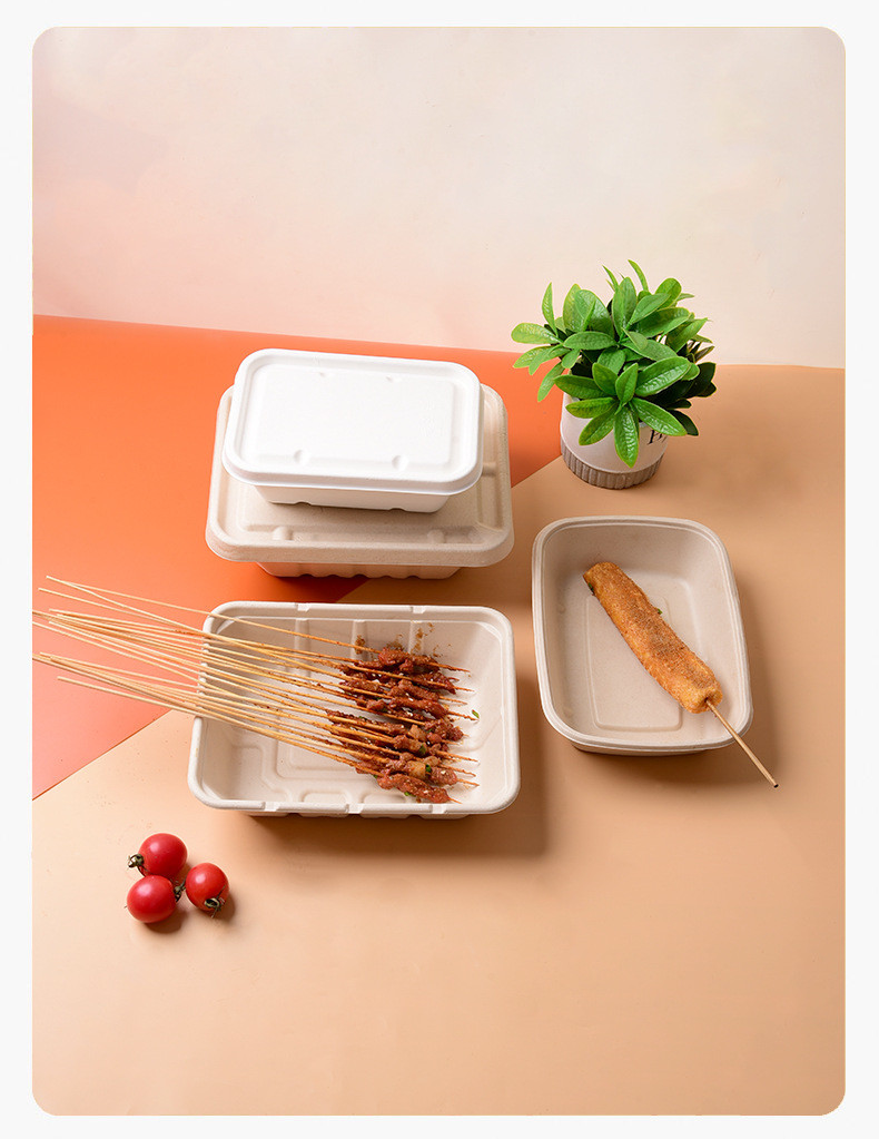 Sugarcane Bagasse Salad Fruit Take Away Food Containers Biodegradable