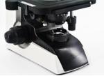 Wide Field Eyepiece Tissue Culture Microscope For Histological