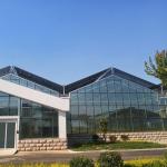 10x8 20 X 40 Big Span Venlo Multi Span Glass Greenhouse Growing Vegetable Show