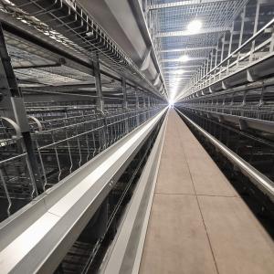 Quality 54-384 Birds/Set Layer Bird Cage , SONCAP Battery System Of Poultry Farming wholesale